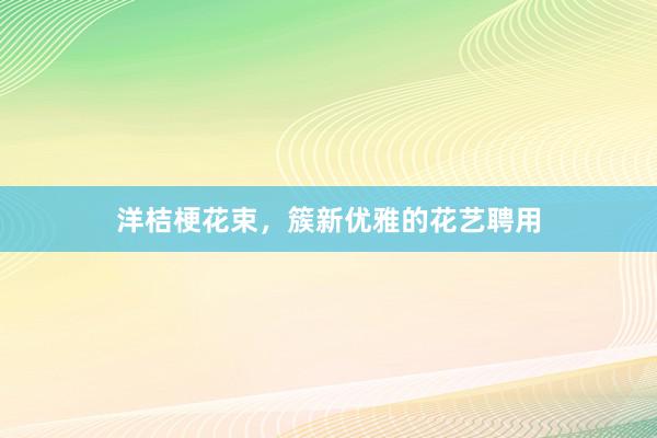 洋桔梗花束，簇新优雅的花艺聘用