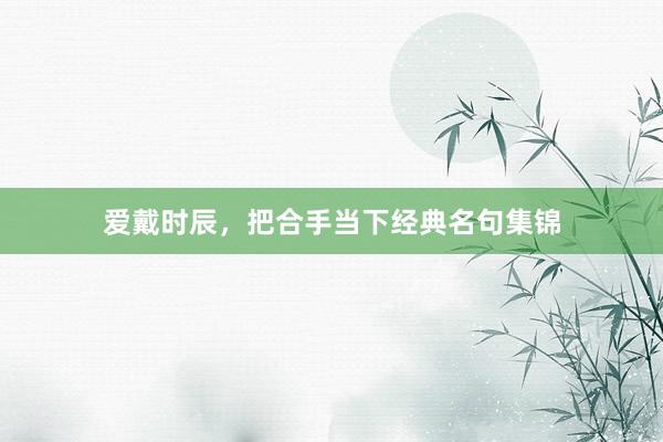 爱戴时辰，把合手当下经典名句集锦